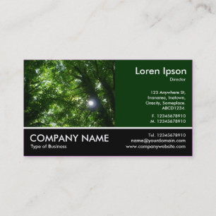 Carte De Visite Photo Pied - Dk Green - Soleil dans les arbres