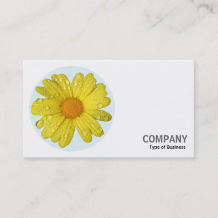 Carte De Visite Photo Rond - Marguerite Jaune sous la Pluie