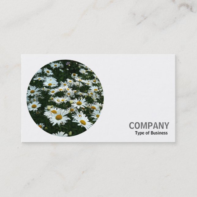 Carte De Visite Photo ronde - Casta Daisies (Devant)