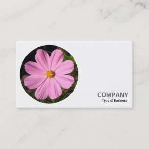 Carte De Visite Photo ronde - Cosmos rose