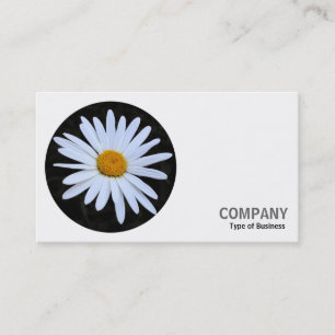 Carte De Visite Photo ronde - Marguerite blanche 02