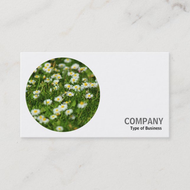 Carte De Visite Photo ronde - Marguerites (Devant)