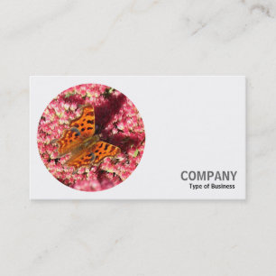 Carte De Visite Photo ronde - Papillon Comma sur Sedum