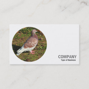 Carte De Visite Photo ronde - Pigeon rouge
