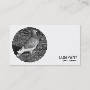 Carte De Visite Photo ronde - Red Pigeon B&W