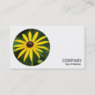 Carte De Visite Photo ronde - Rudbeckia hirta