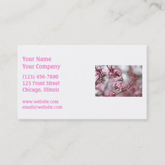 Carte De Visite Photo rose de fleurs au printemps