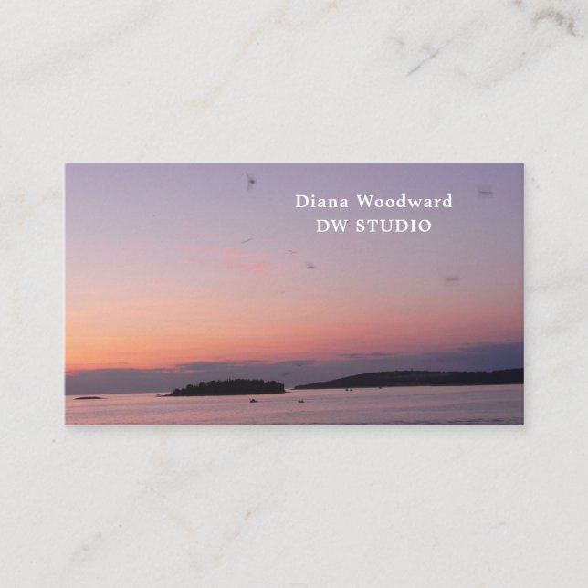 Carte de visite photo Sunset moderne (Devant)