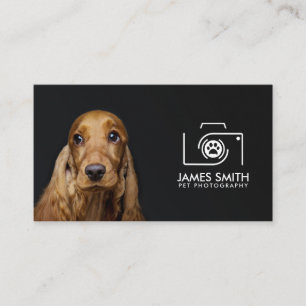 Carte De Visite Photographe animal - Photographie animale
