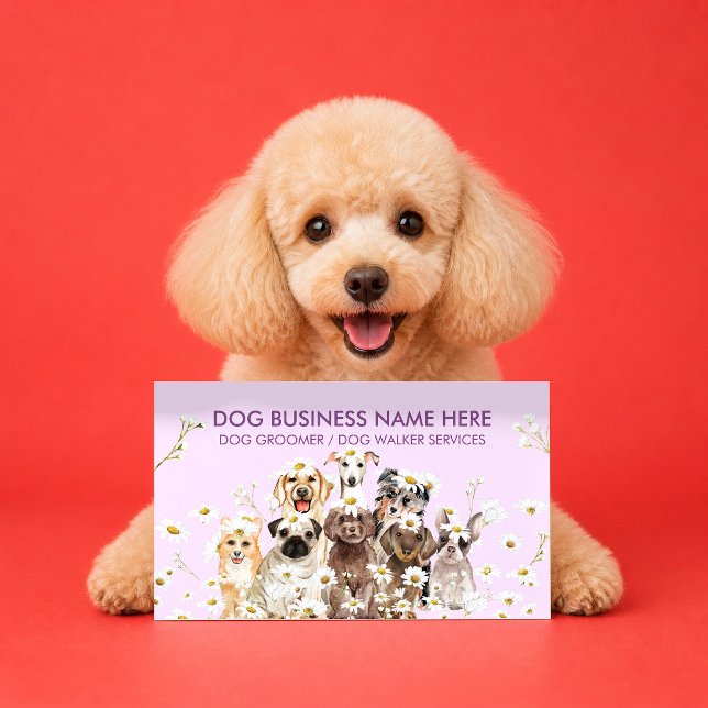 Carte De Visite Photographe de daisy violet Portrait de chien (Créateur téléchargé)