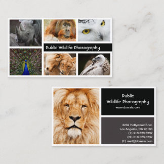 Carte De Visite Photographe photo
