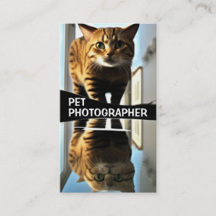 Carte De Visite Photographe pour animaux
