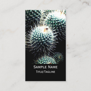 Carte De Visite photographie nature cactus sur mesure