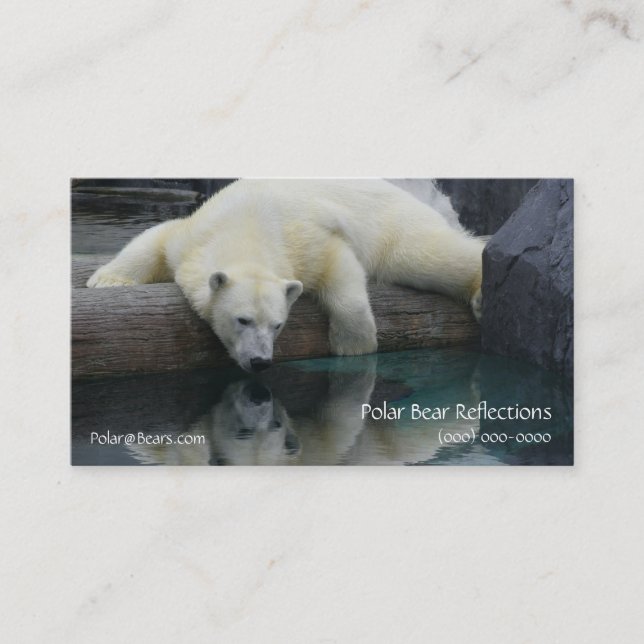 Carte De Visite Photographie Ours Polar (Devant)