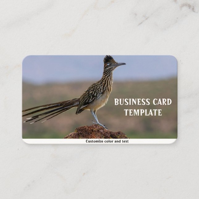 Carte De Visite Picture Nature Desert Bird Roadrunner (Devant)