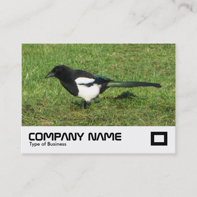 Carte De Visite Pie européen (Devant)