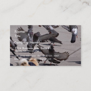 Carte De Visite Pigeon