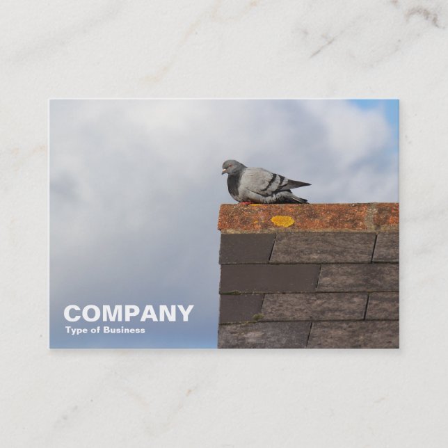 Carte De Visite Pigeon bonjour (Devant)