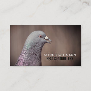 Carte De Visite Pigeon De Bois, Lutte Antiparasitaire