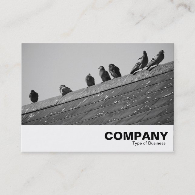 Carte De Visite Pigeons sur un toit (Devant)