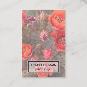Carte De Visite Pink Cactus Flower Desert Garden Photo Voyage
