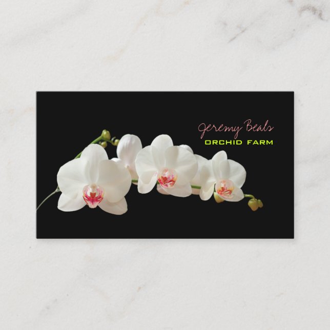 Carte De Visite PixDezines orchidée/couleur de fond DIY♥♥♥ (Devant)