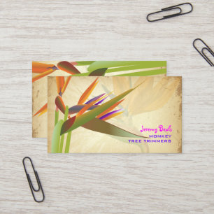 Carte De Visite PixDezines vintage oiseau de paradis