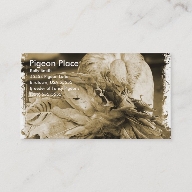 Carte De Visite Place Pigeon (Devant)