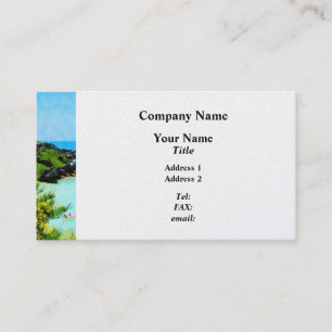 Carte De Visite Plage à St. George Bermude - Platine