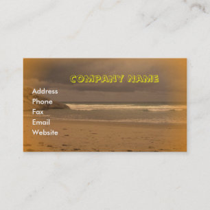 Carte De Visite Plage de Squeaky 5