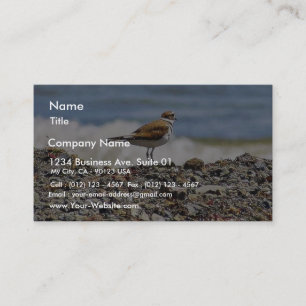 Carte De Visite Plages d'Oiseaux Oceans
