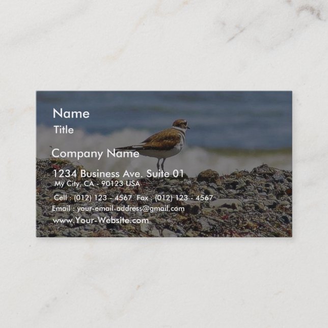 Carte De Visite Plages d'Oiseaux Oceans (Devant)