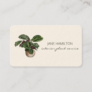 Carte De Visite Plantes de décoration d'intérieur