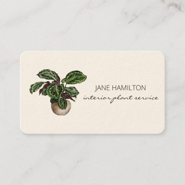 Carte De Visite Plantes de décoration d'intérieur (Devant)