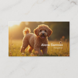 Carte De Visite Poddle Chien