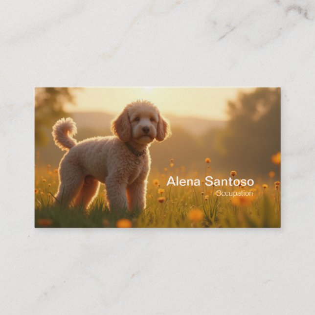Carte De Visite Poddle Chien (Devant)