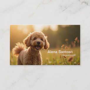 Carte De Visite Poddle Chien