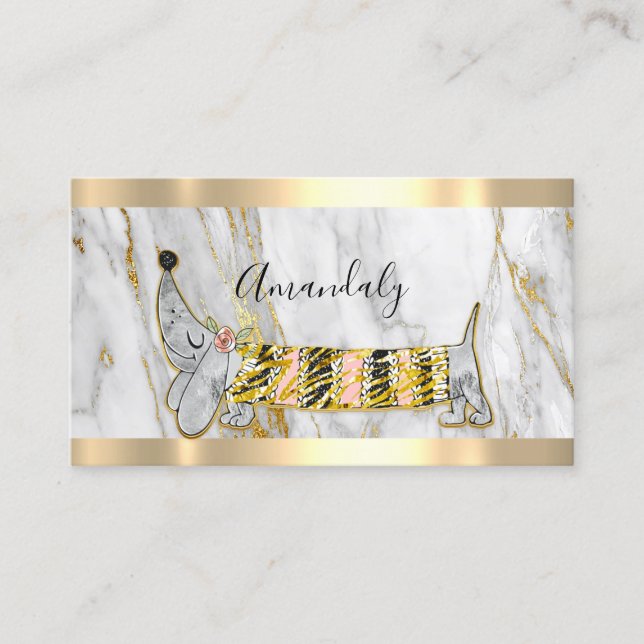 Carte De Visite Poignée professionnelle Soins pour animaux de comp (Devant)