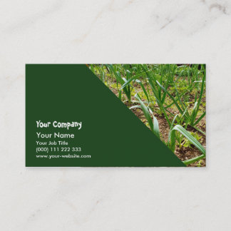 Carte De Visite Poireaux dans le potager