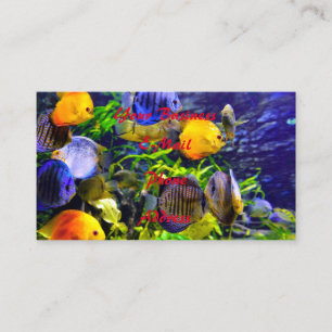 Carte De Visite Poisson de mer tropical aquatique coloré vibrant