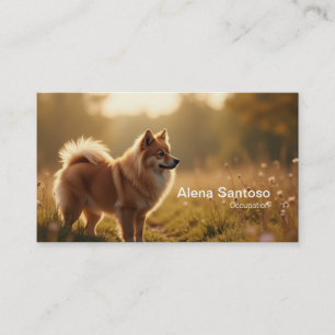 Carte De Visite Pomeranian Dog