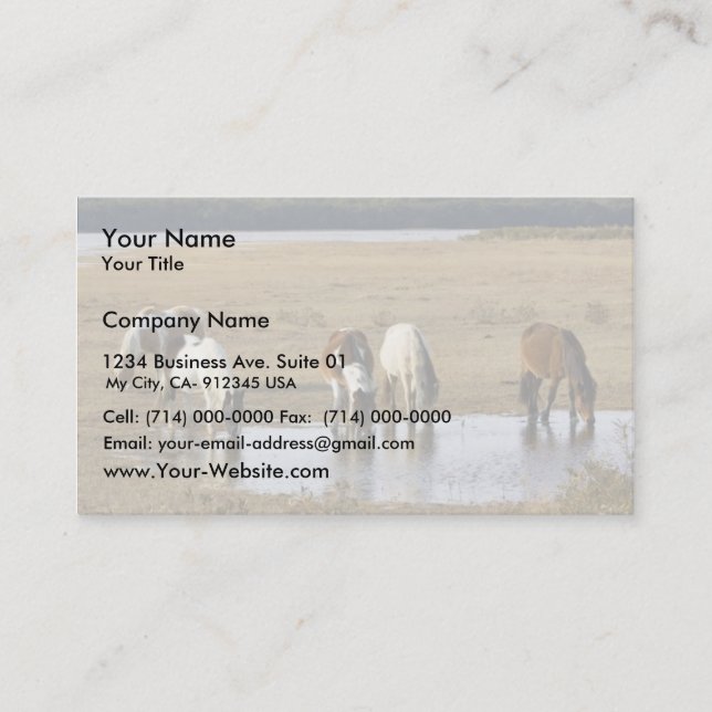 Carte De Visite Poney sauvage (Devant)