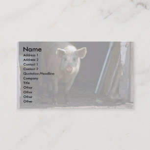 Carte De Visite Porc