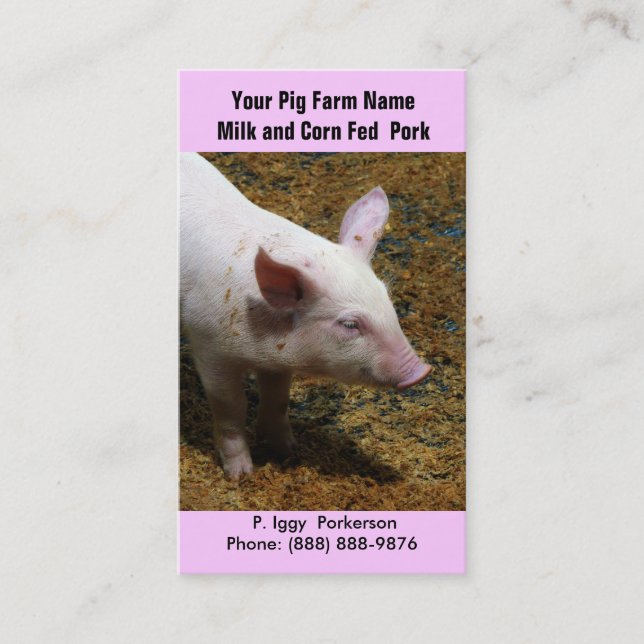 Carte De Visite Porc de bébé pour l'agriculture de porc (Devant)