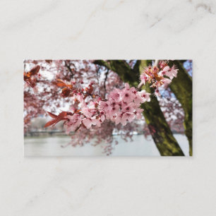 Carte De Visite Portland's Pink Embrace : Cerry Blossom Serenity