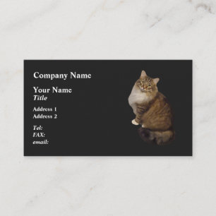 Carte De Visite Portrait de chat Maine Coon