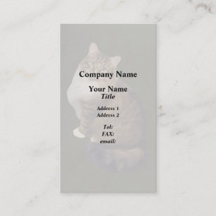 Carte De Visite Portrait de chat Maine Coon