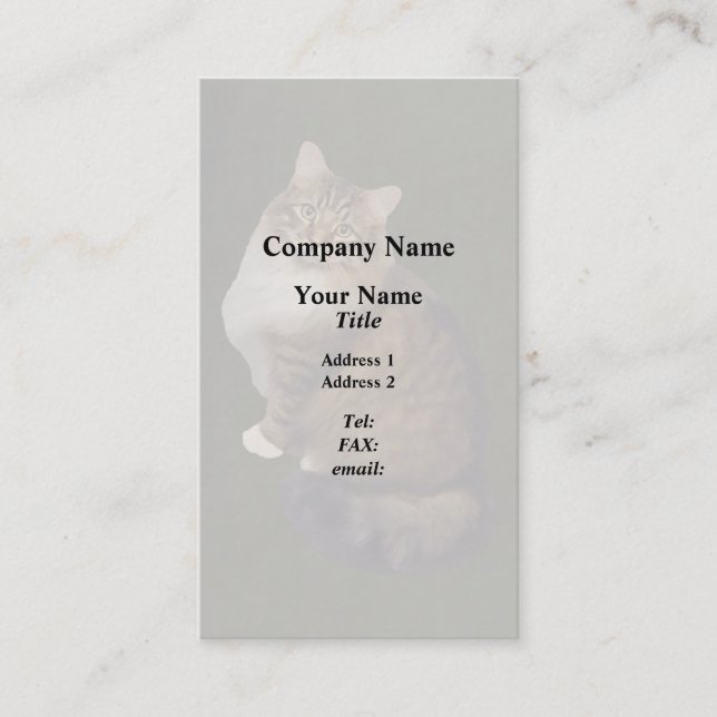 Carte De Visite Portrait de chat Maine Coon (Devant)