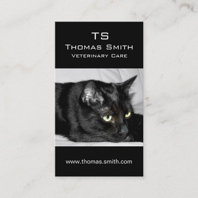 Carte De Visite Portrait de chat noir mignon (Devant)