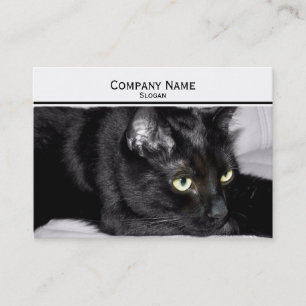 Carte De Visite Portrait de chat noir mignon